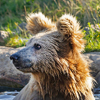 Navštivte ZOO